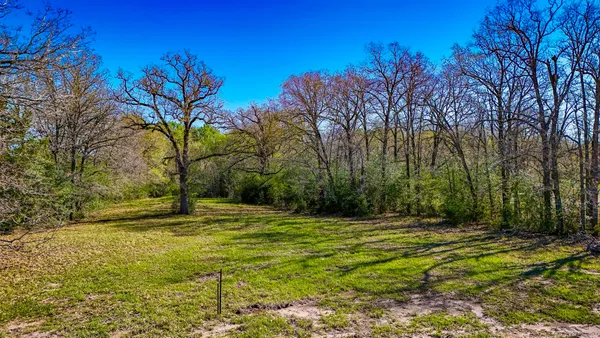 a view of an ocean from a yard