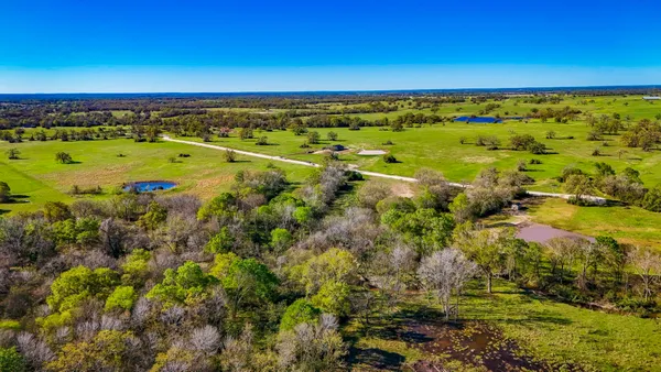 a view of a tree with a yard