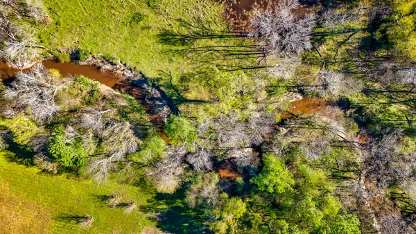 a view of a yard with a house in the background