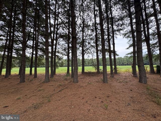 21682 Dover Bridge Road Preston, MD 21655 - Photo 22 of 23