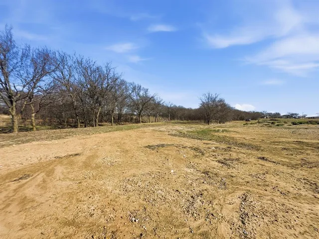 a view of yard with swimming pool and trees in the background