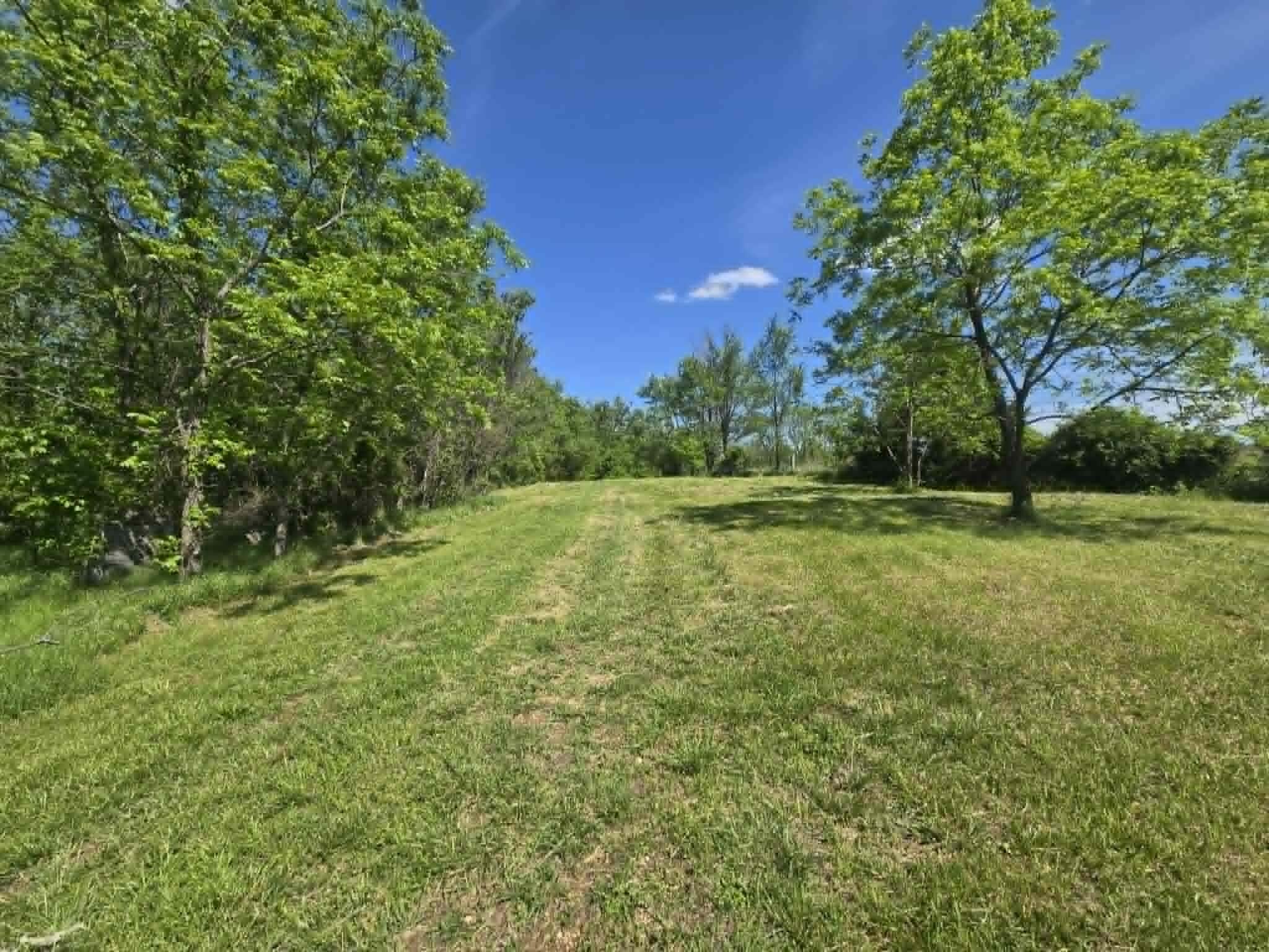 14008 Airport Road Cabool, MO 65689 - Photo 11 of 16 896c8709-6340-46ae-9a18-f8cd47558975