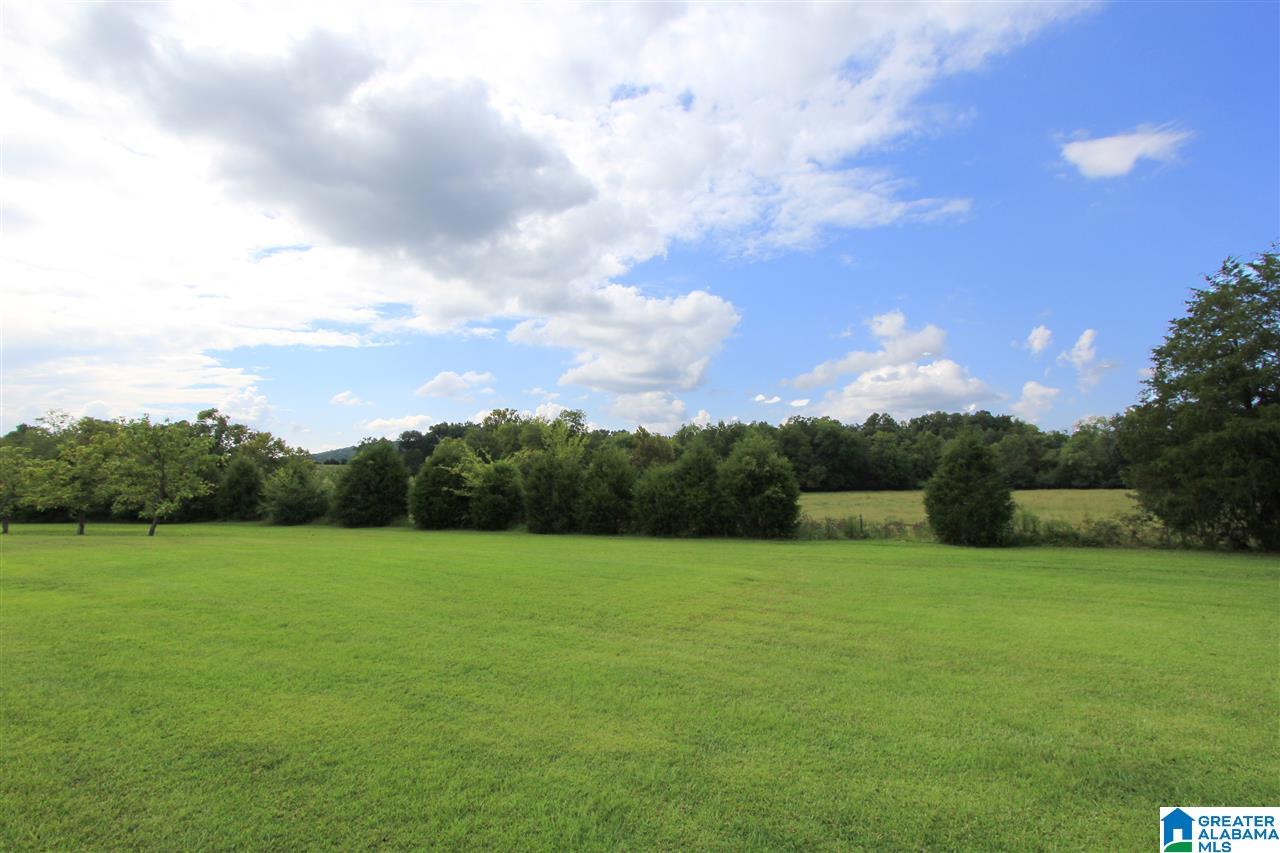 2861 Wellington Road Wellington, AL 36279 - Photo 16 of 50 Gallery Image 16