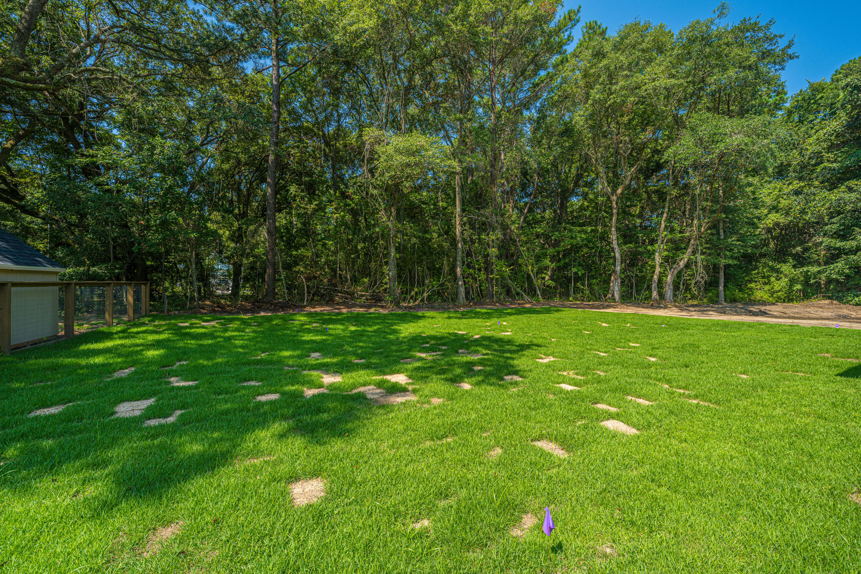 977 Bellas Lane Awendaw, SC 29429 - Photo 64 of 87 977BellasLn067