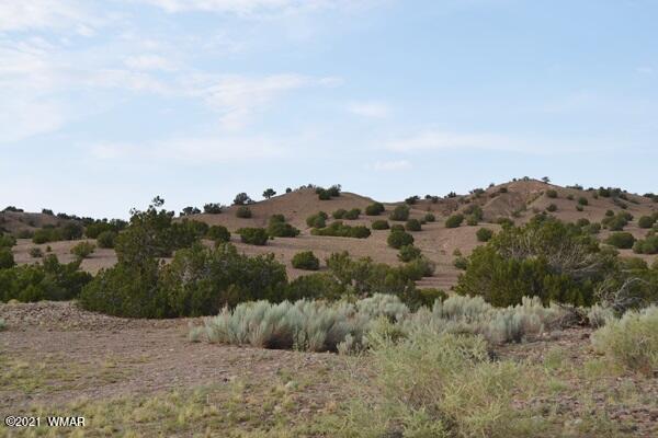 10 And 11 Big Six Ranch Concho, AZ 85924 - Photo 1 of 12