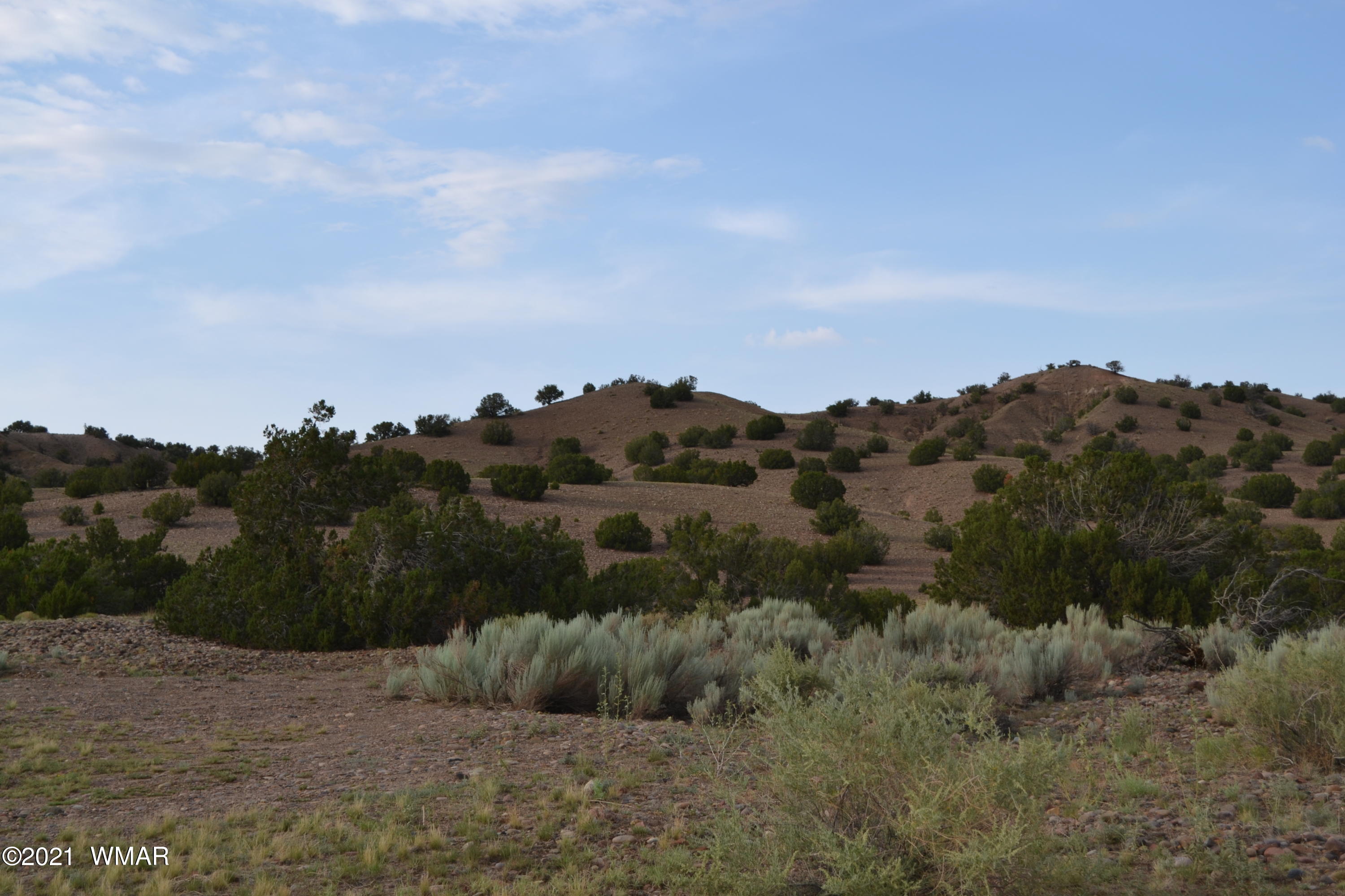 10 And 11 Big Six Ranch Concho, AZ 85924 - Photo 11 of 12