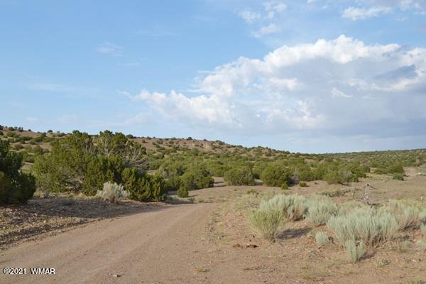 10 And 11 Big Six Ranch Concho, AZ 85924 - Photo 12 of 12