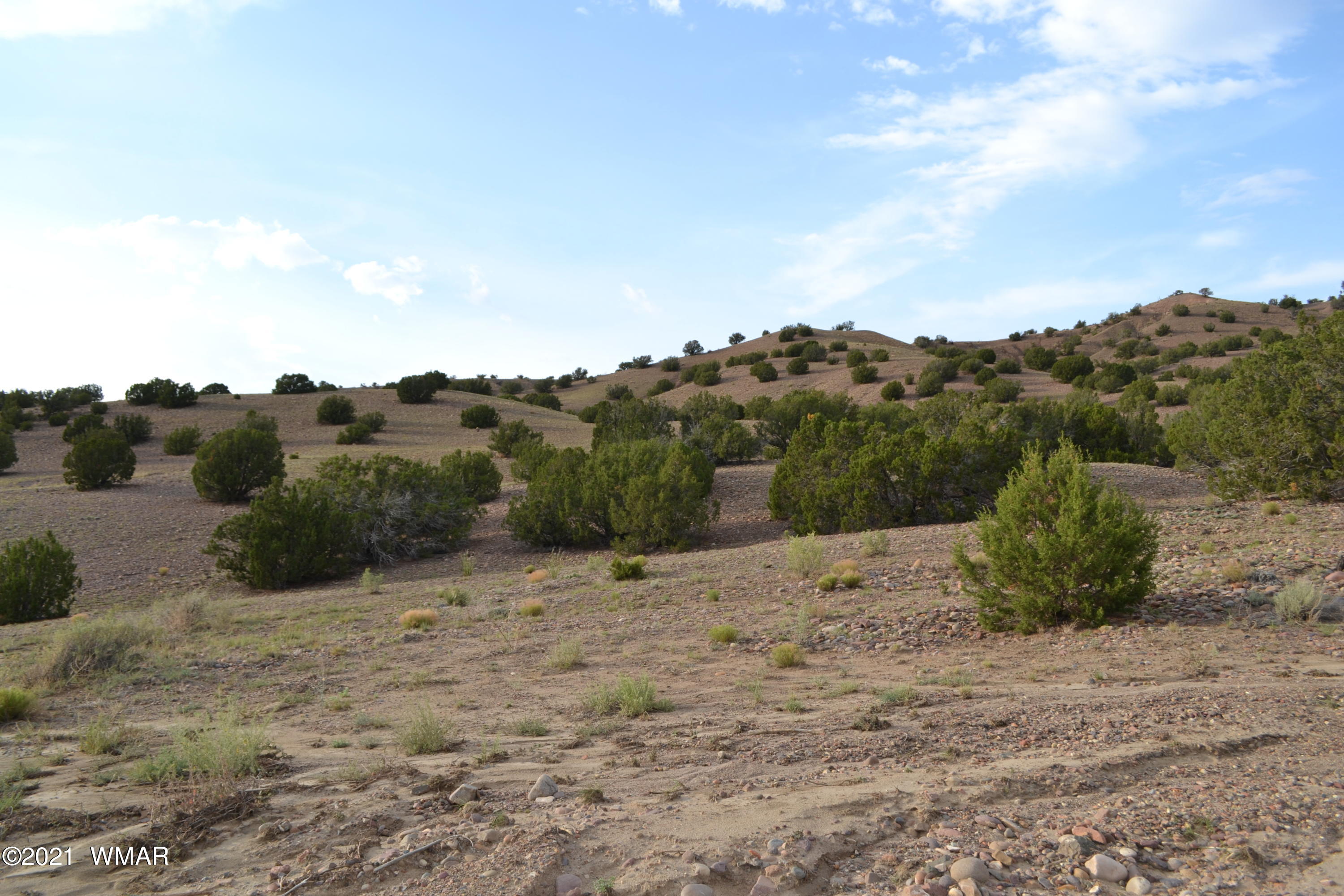 10 And 11 Big Six Ranch Concho, AZ 85924 - Photo 5 of 12
