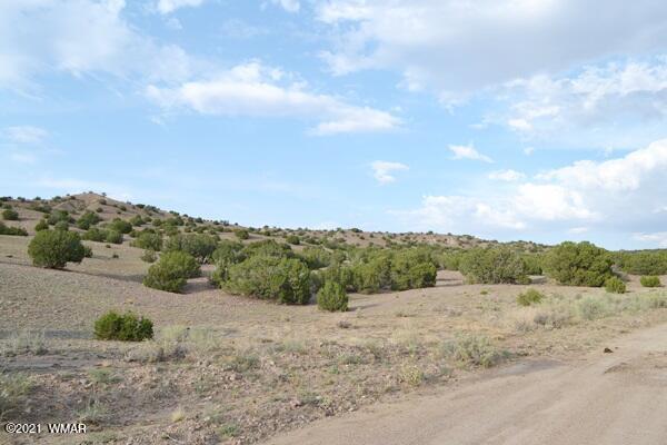 10 And 11 Big Six Ranch Concho, AZ 85924 - Photo 6 of 12