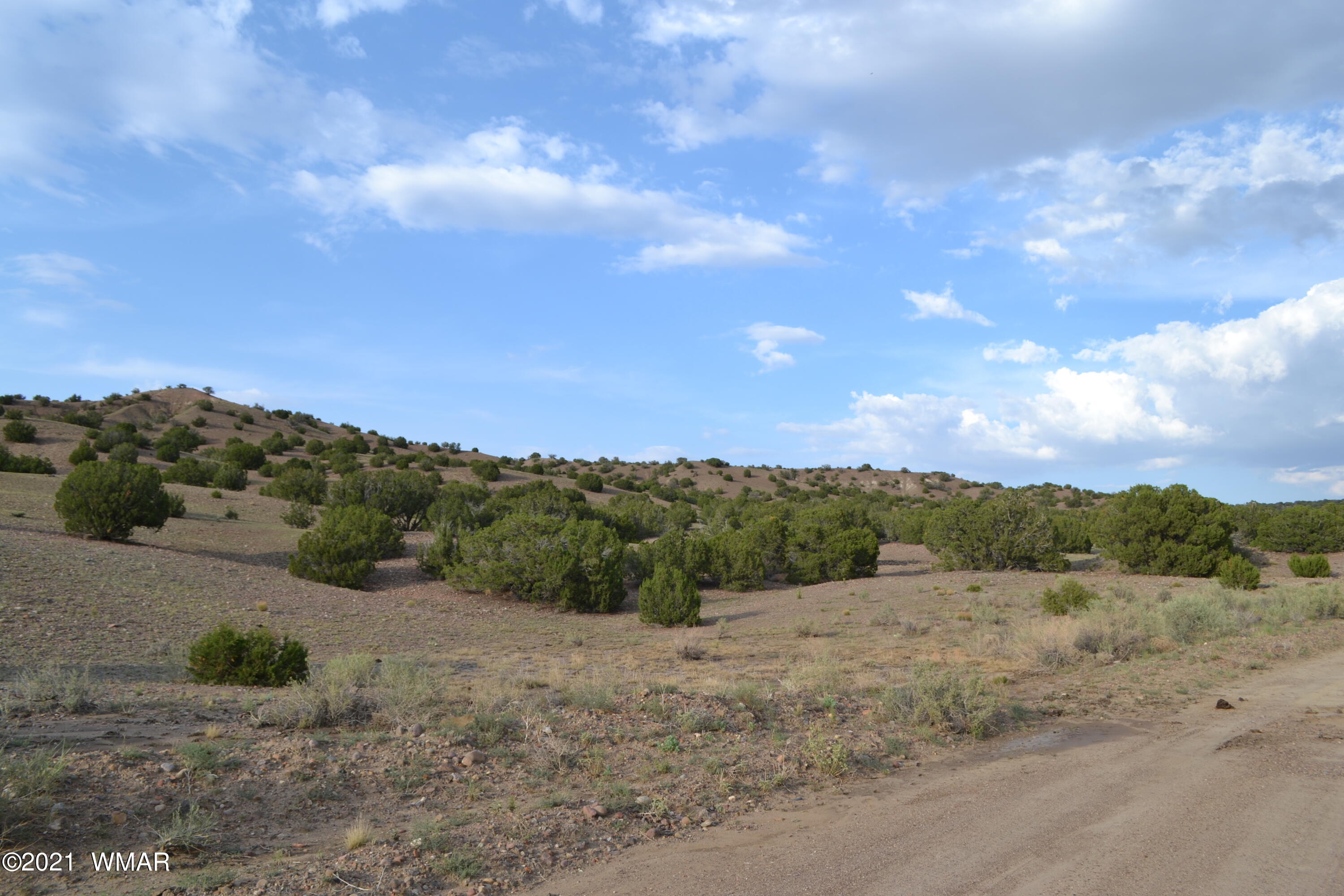 10 And 11 Big Six Ranch Concho, AZ 85924 - Photo 7 of 12