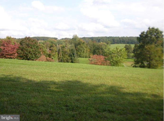 14101 Lewisdale Road Clarksburg, MD 20871 - Photo 4 of 28 Pasture