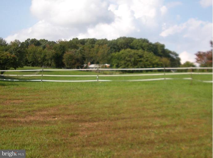 14101 Lewisdale Road Clarksburg, MD 20871 - Photo 5 of 28 pasture
