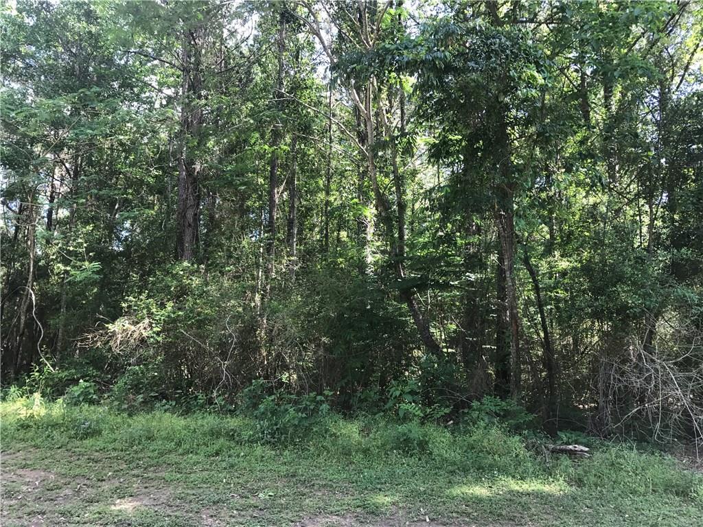 Lot 9 Ed Williams Road Franklinton, LA 70438 - Photo 1 of 3 Gallery Image 1