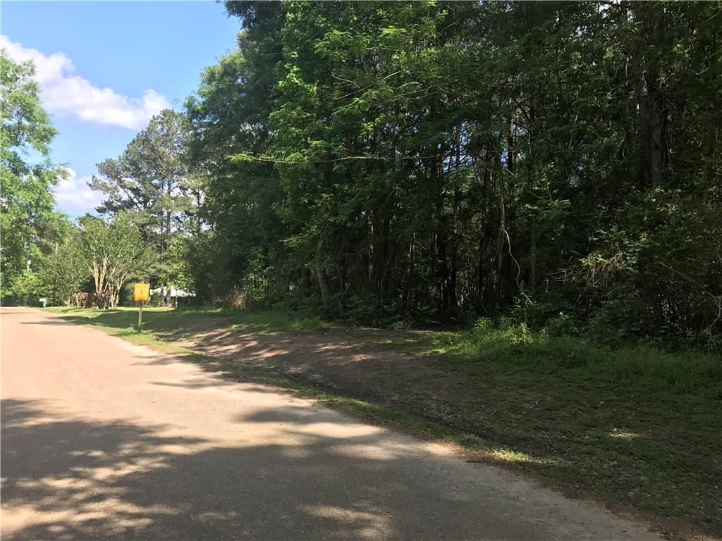 Lot 9 Ed Williams Road Franklinton, LA 70438 - Photo 2 of 3 Gallery Image 2