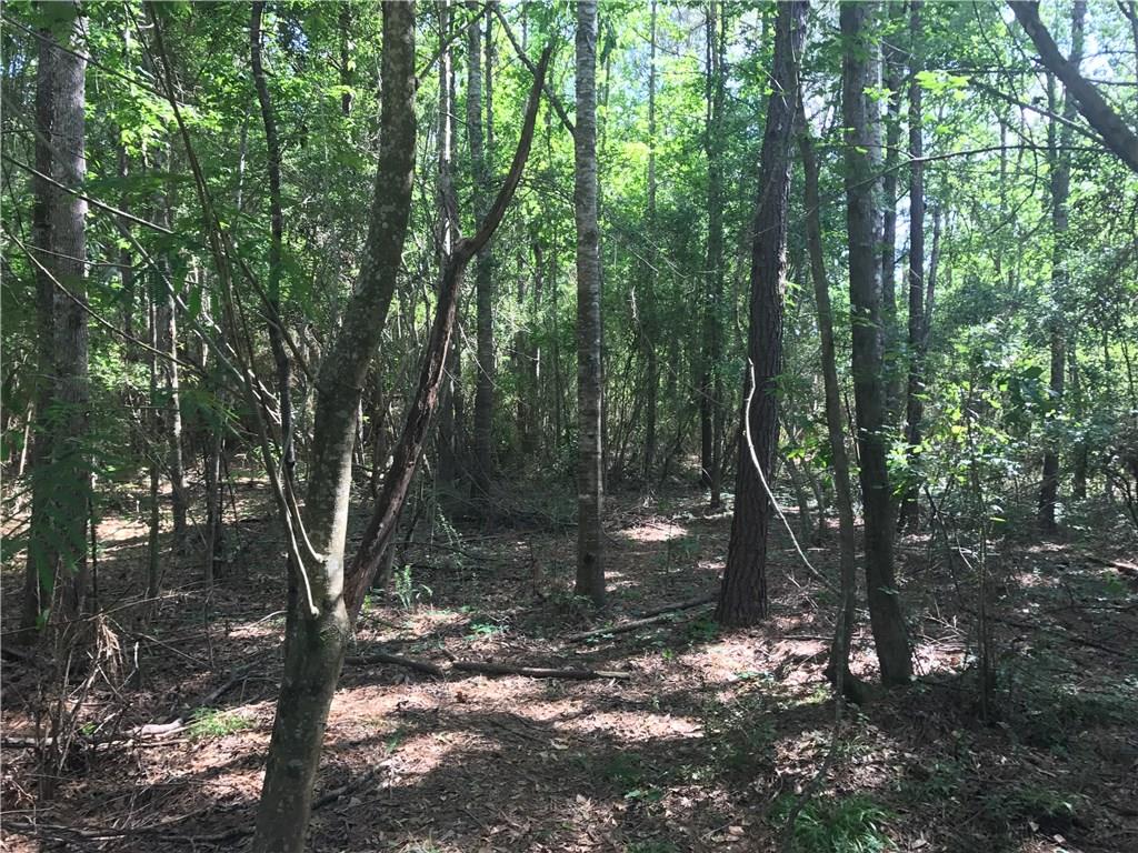 Lot 9 Ed Williams Road Franklinton, LA 70438 - Photo 3 of 3 Gallery Image 3
