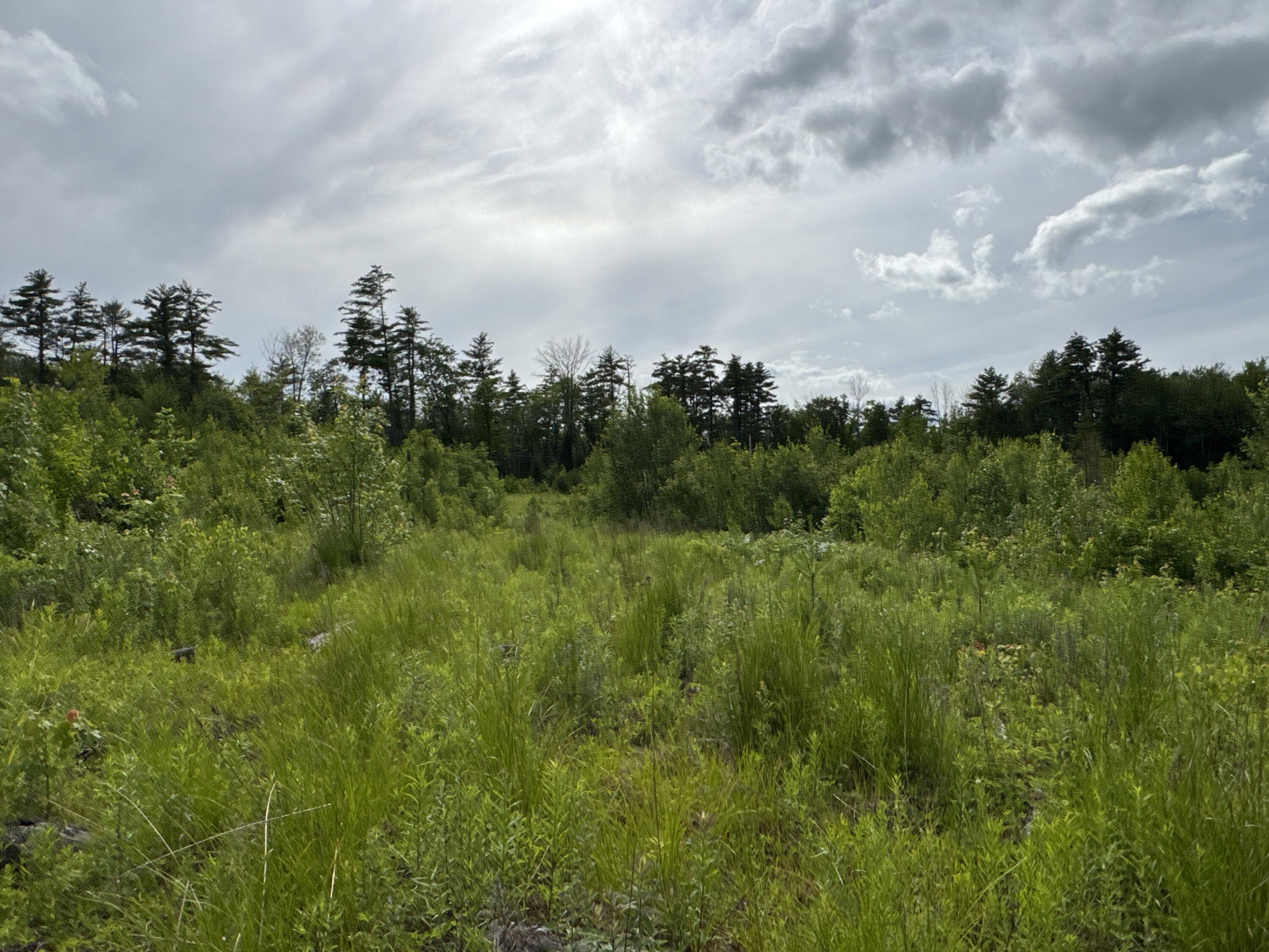 L52 Bridgton Road Harrison, ME 04040 - Photo 7 of 29
