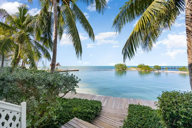 a view of outdoor space with palm trees