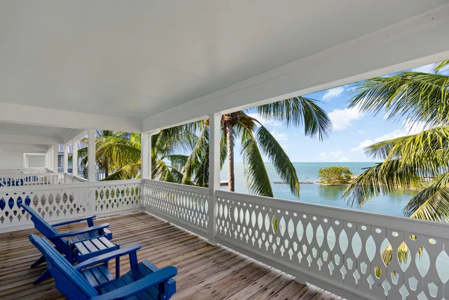 a view of a palm trees