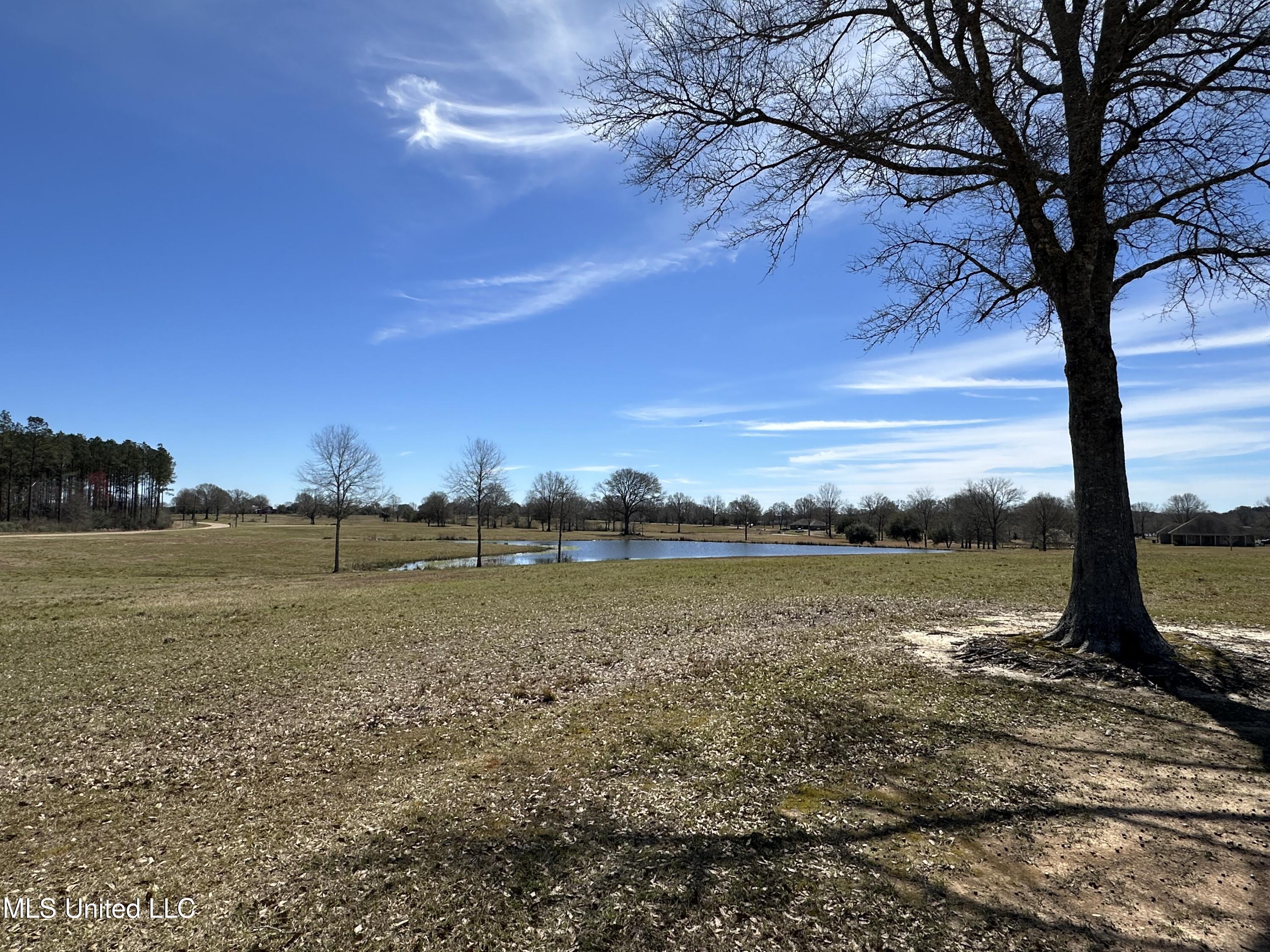 Northern Exposure Road Poplarville, MS 39470 - Photo 4 of 9 IMG_1282