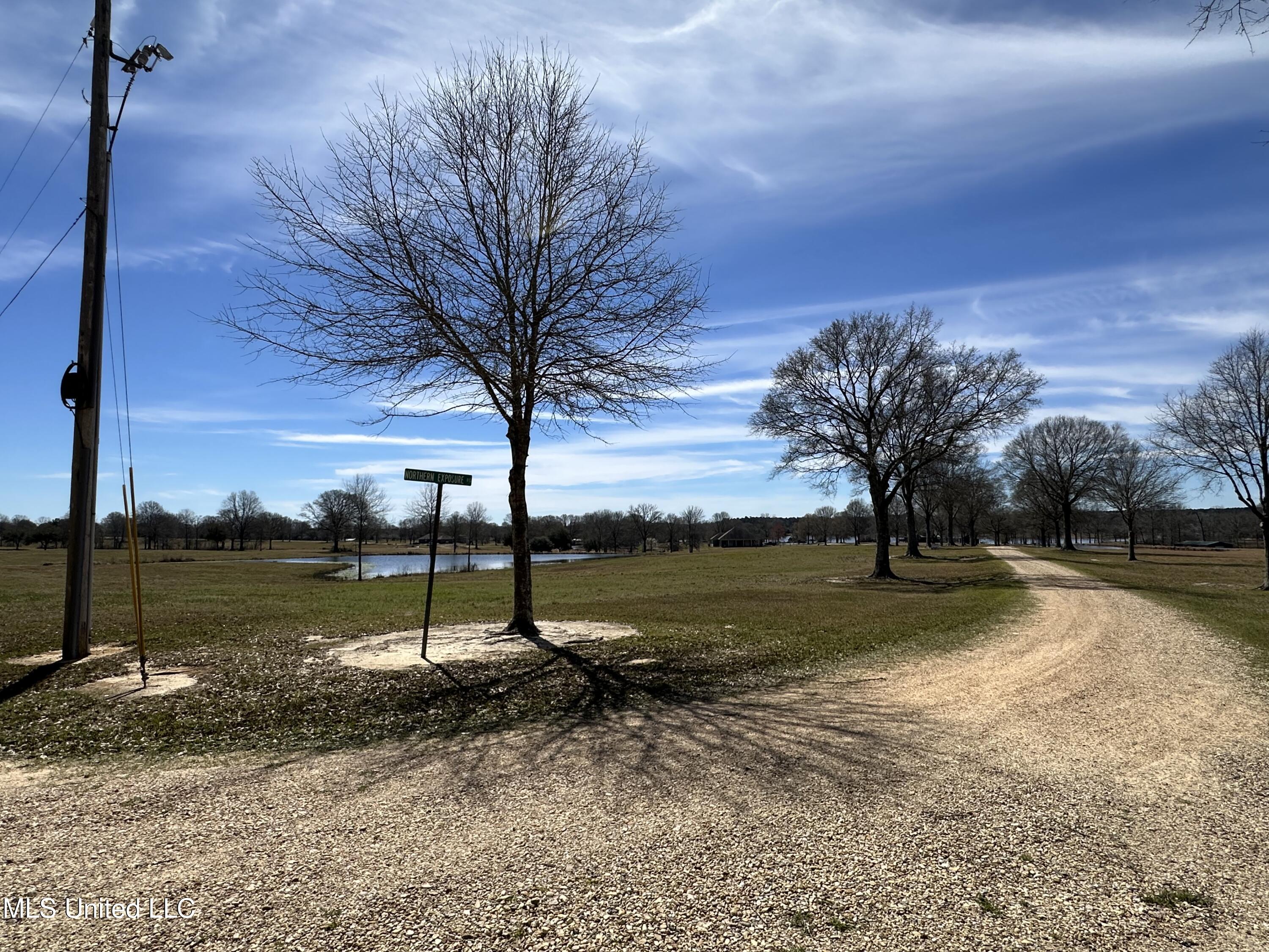 Northern Exposure Road Poplarville, MS 39470 - Photo 5 of 9 IMG_1283