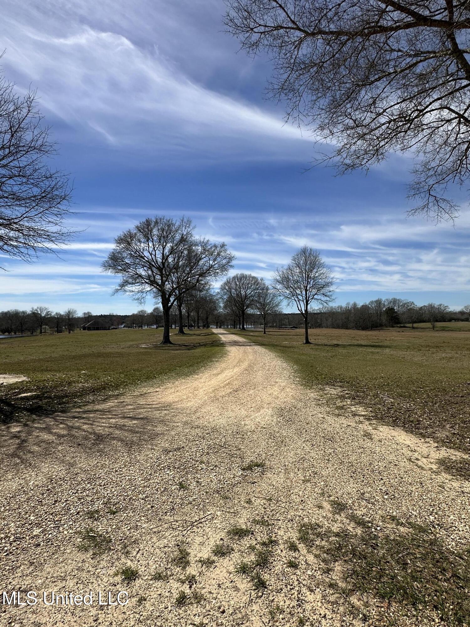 Northern Exposure Road Poplarville, MS 39470 - Photo 6 of 9 IMG_1284
