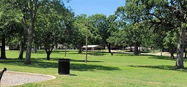 a view of a park with tree s