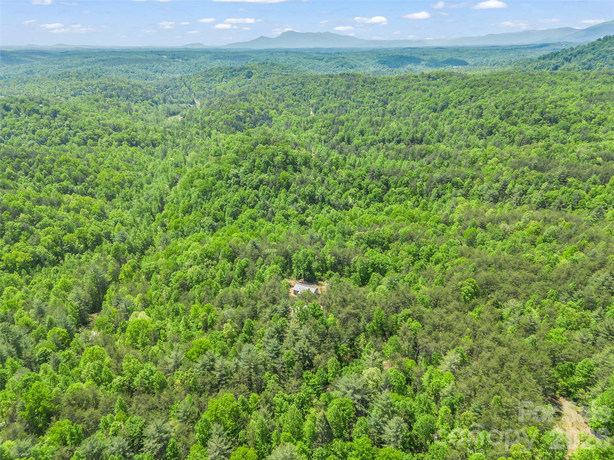721 Old Mill Road Rutherfordton, NC 28139 - Photo 30 of 33
