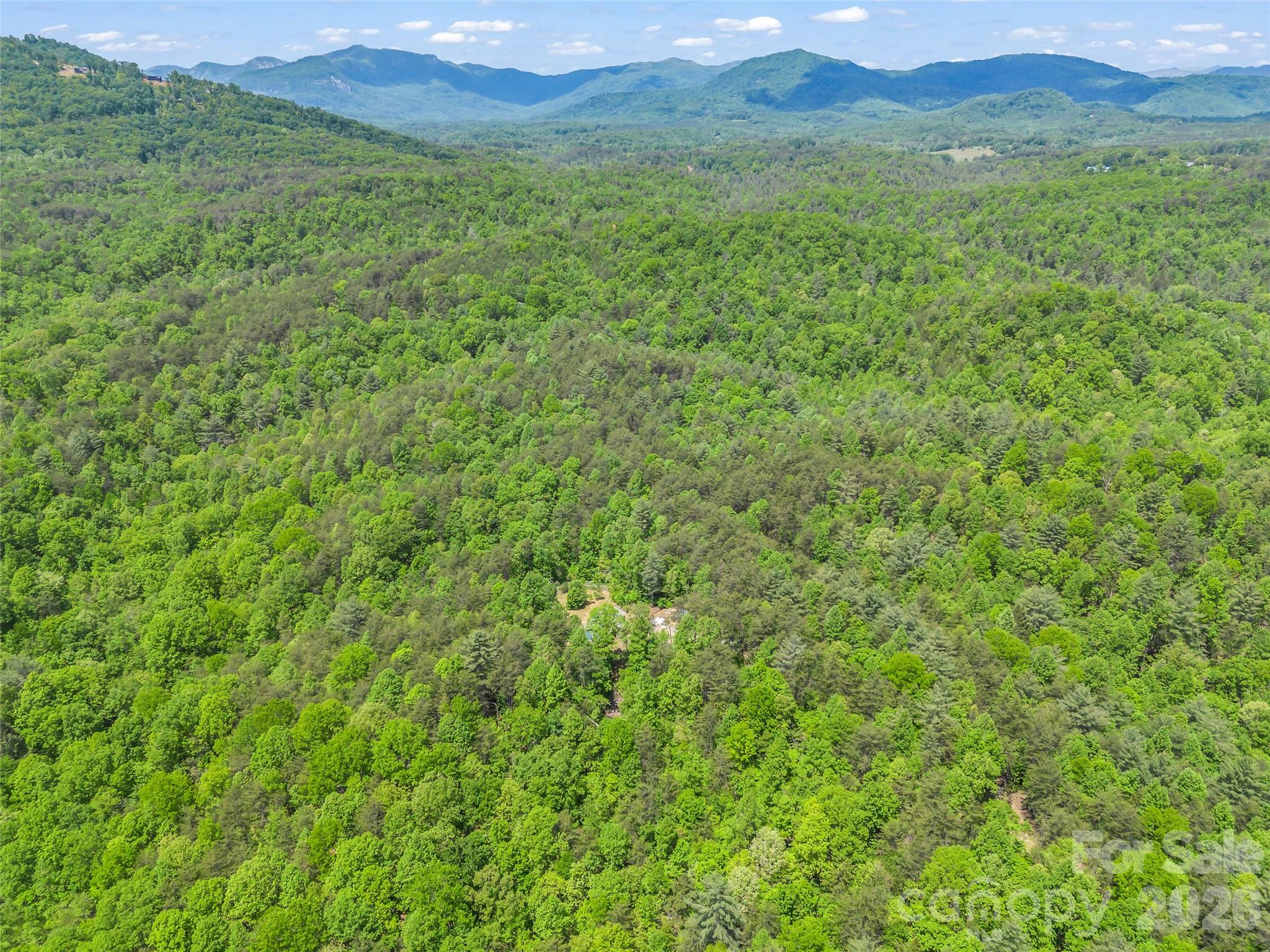 721 Old Mill Road Rutherfordton, NC 28139 - Photo 31 of 33