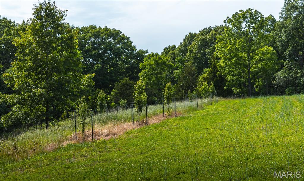 1757 Infidel Hollow Road Mozier, IL 62070 - Photo 38 of 52