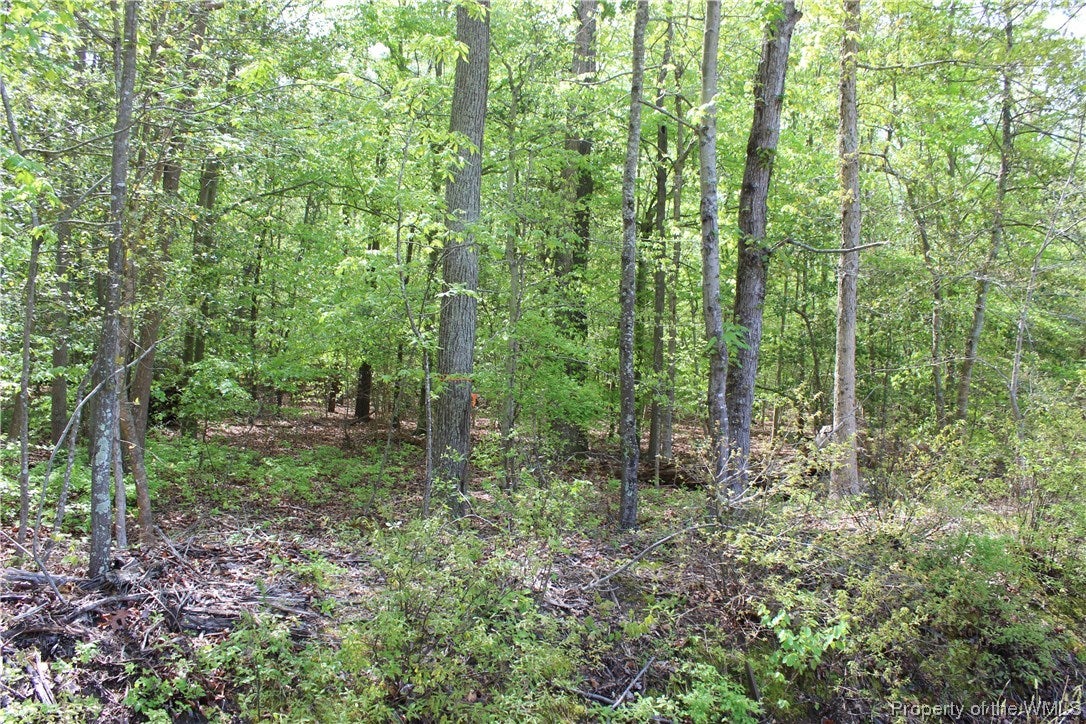 2.73-acres Horsley Road Hayes, VA 23072 - Photo 2 of 4 Gallery Image 2
