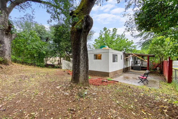 a view of a backyard with a tree