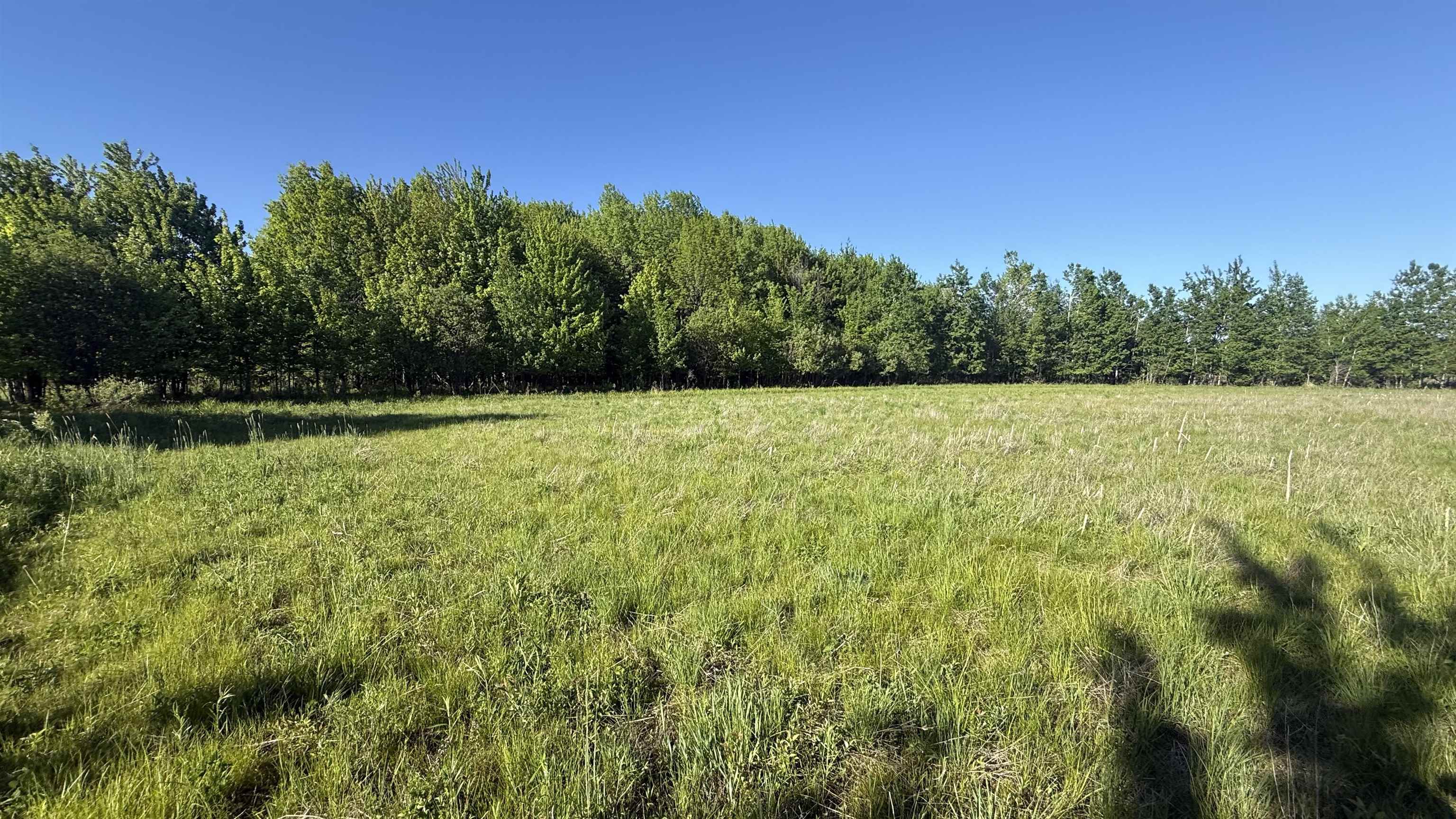 Lot 1 County Road Z Ringle, WI 54471 - Photo 13 of 22