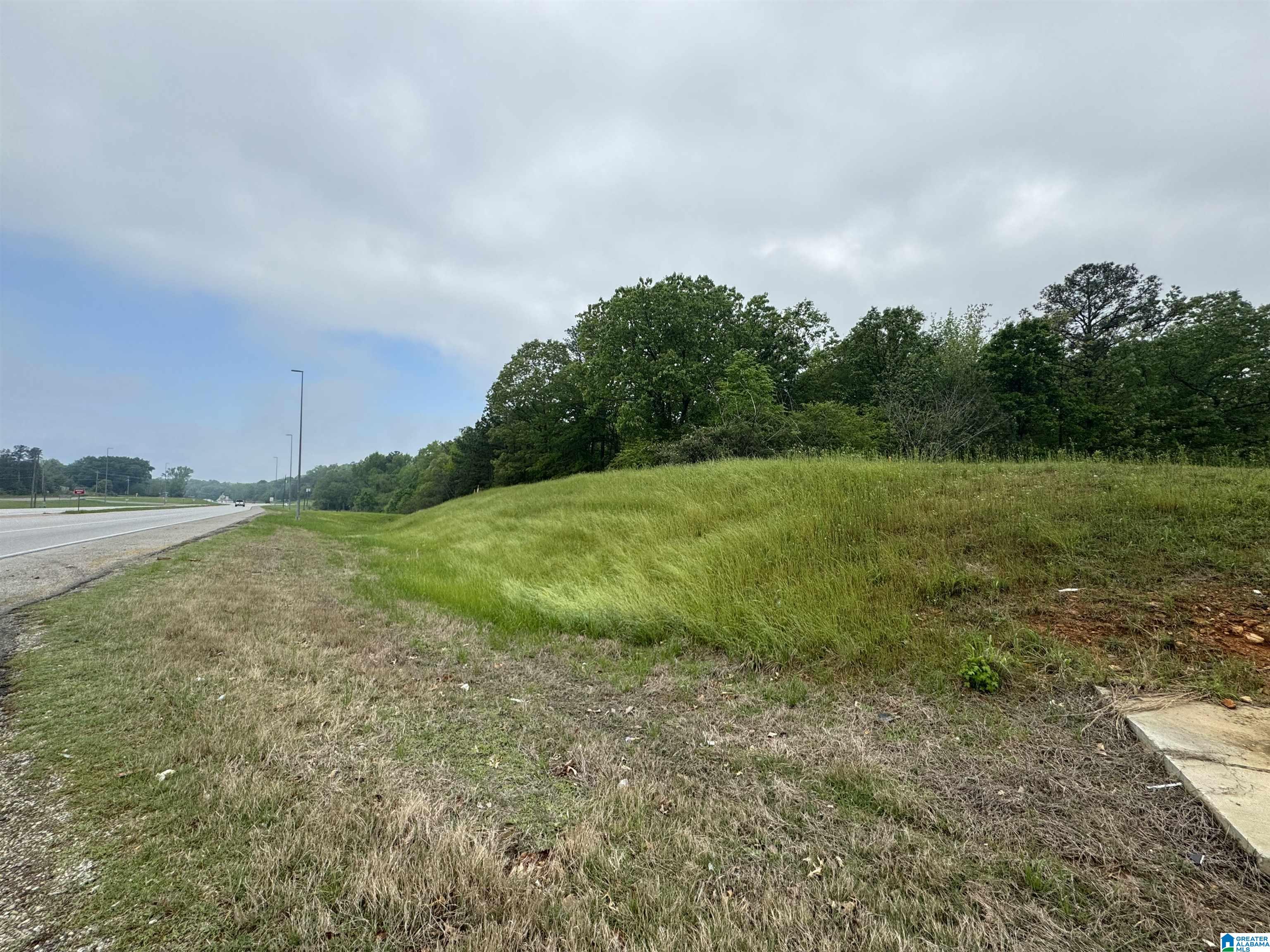 0 Coldwater Road Anniston, AL 36201 - Photo 9 of 25