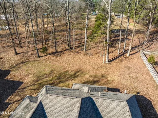 $450,000 | 4611 Bonne Terre Drive, Nesbit, MS 38651