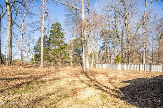 $450,000 | 4611 Bonne Terre Drive, Nesbit, MS 38651