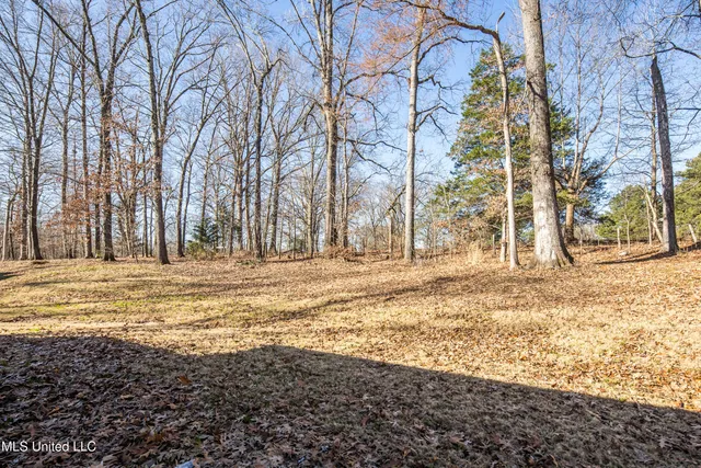 $450,000 | 4611 Bonne Terre Drive, Nesbit, MS 38651