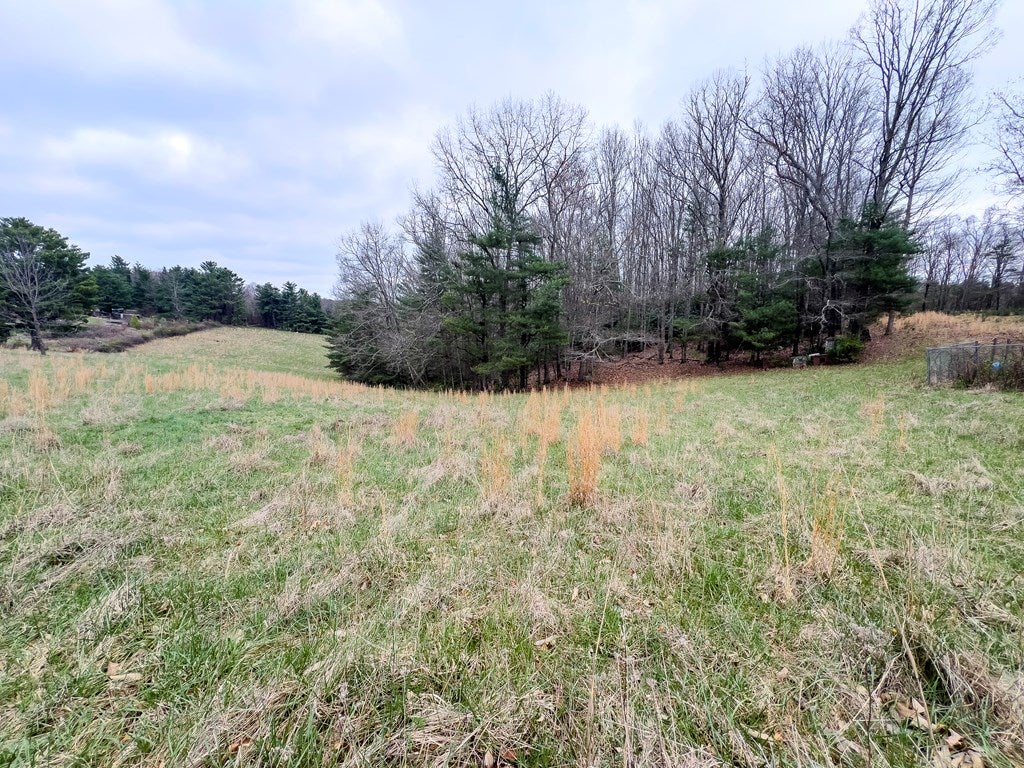 730 Wildcat Road Hillsville, VA 24343 - Photo 29 of 42 Gallery Image 29