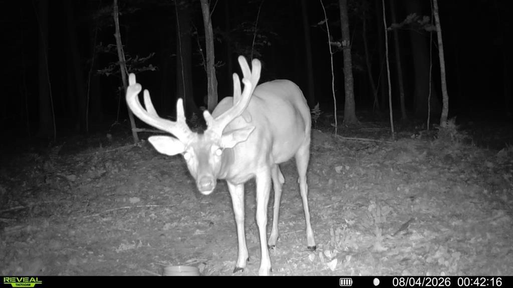 1 Comet Road Exeland, WI 54835 - Photo 3 of 32 Gallery Image 3