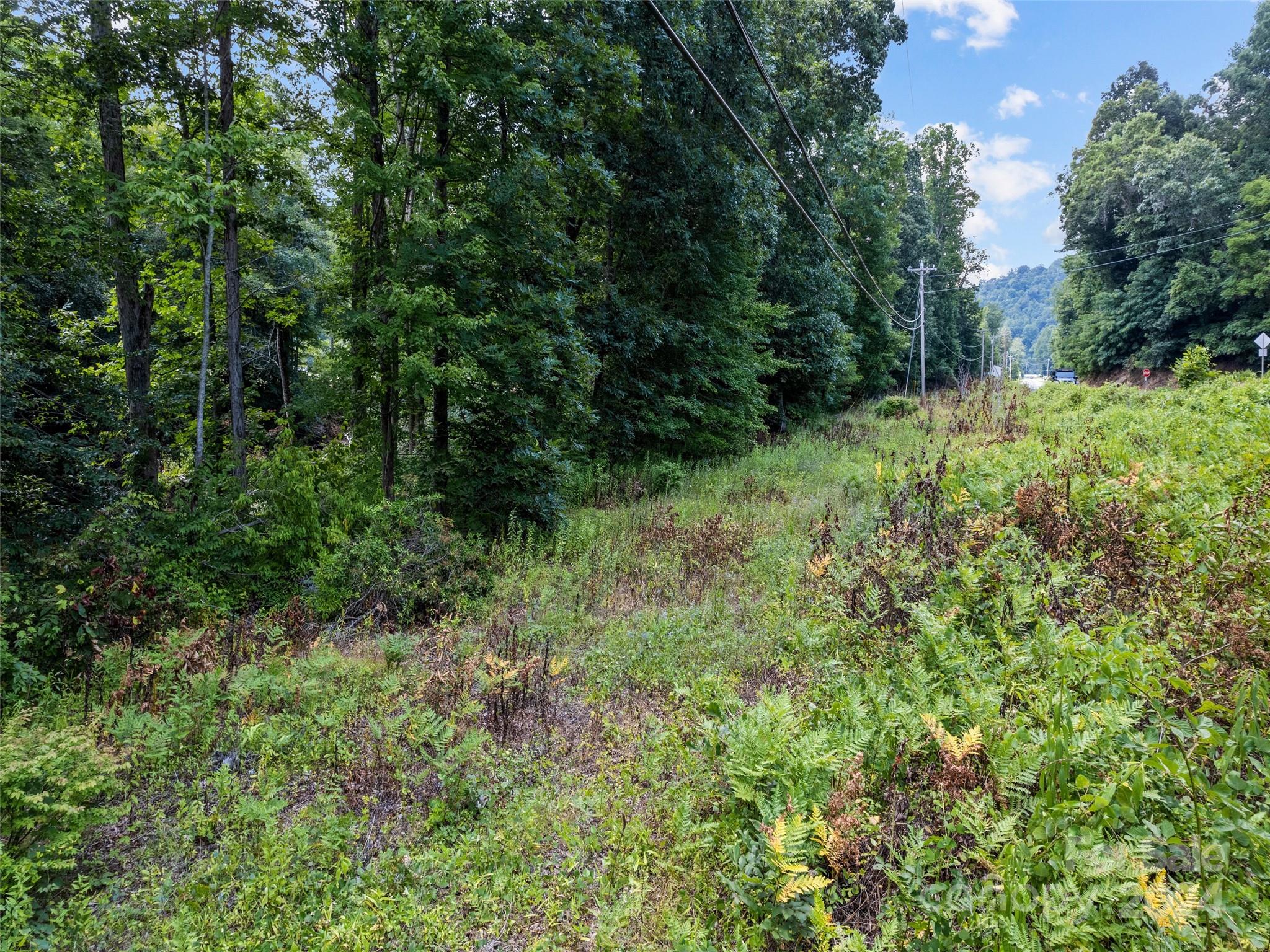 Tbd Cruso Road Canton, NC 28716 - Photo 11 of 17