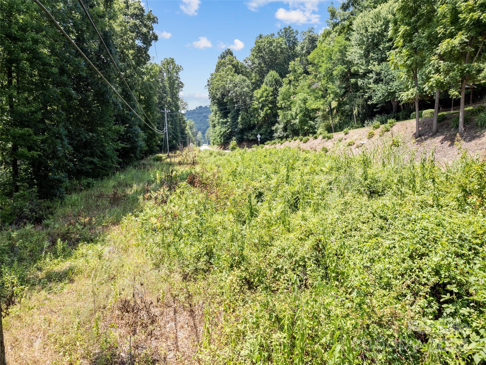 Tbd Cruso Road Canton, NC 28716 - Photo 10 of 17 a view of a yard with plants and tree