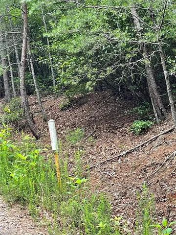 $10,500 | 20 Fawn Lane, Hays, NC 28635