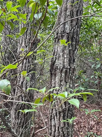 $10,500 | 20 Fawn Lane, Hays, NC 28635