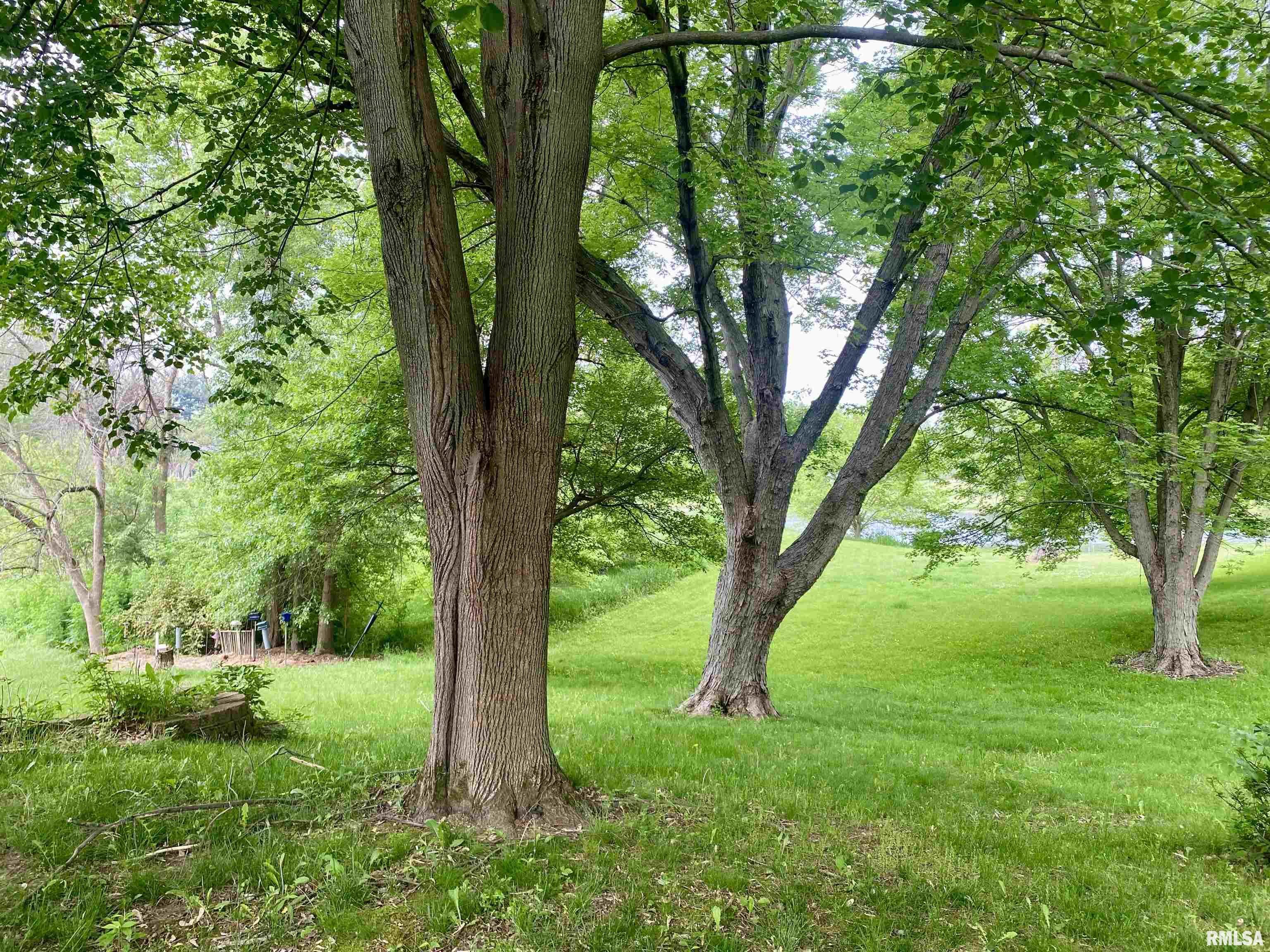 35 Lake Michael Drive Macomb, IL 61455 - Photo 50 of 53