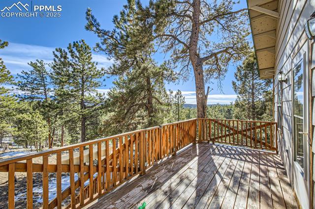 365 Alpine View Road Divide, CO 80814 - Photo 21 of 26 Gallery Image 21