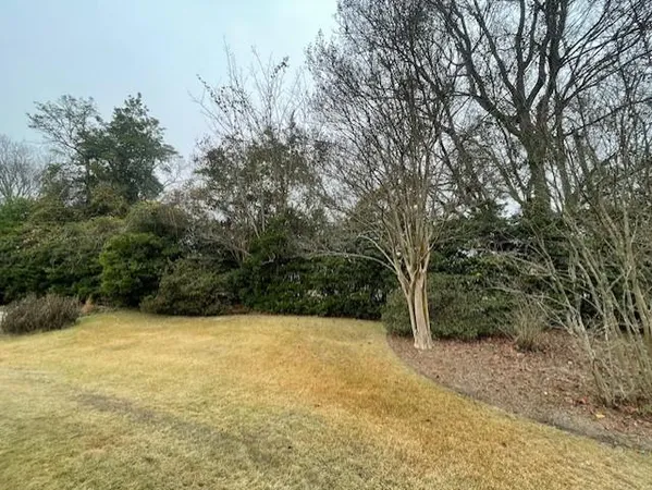 a view of outdoor space with trees