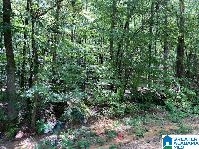 0 County Road 89, Unit 1 Clanton, AL 35046 - Photo 7 of 17