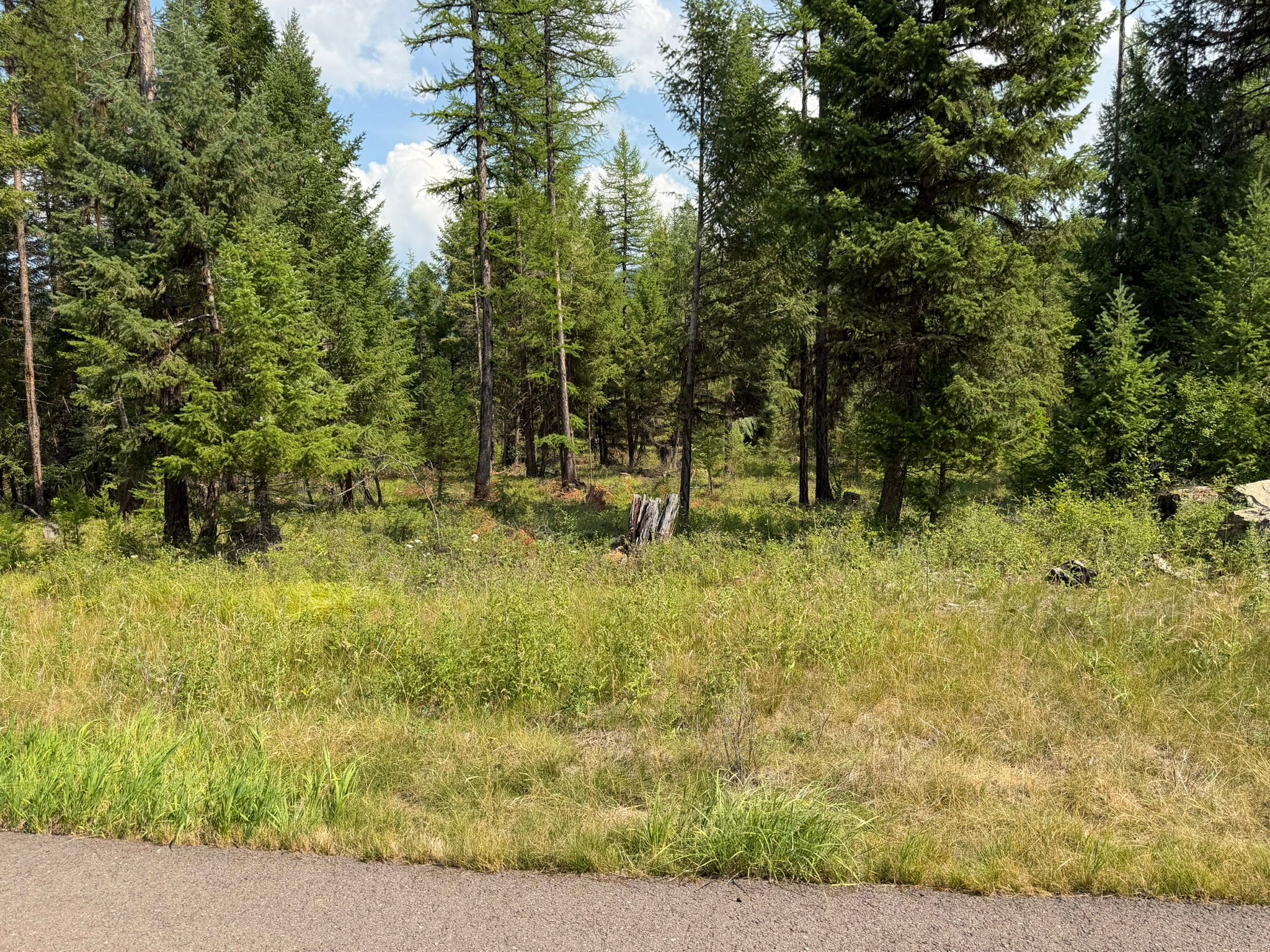 517 Haskill Rnch Road Kila, MT 59920 - Photo 13 of 26 Gallery Image 13