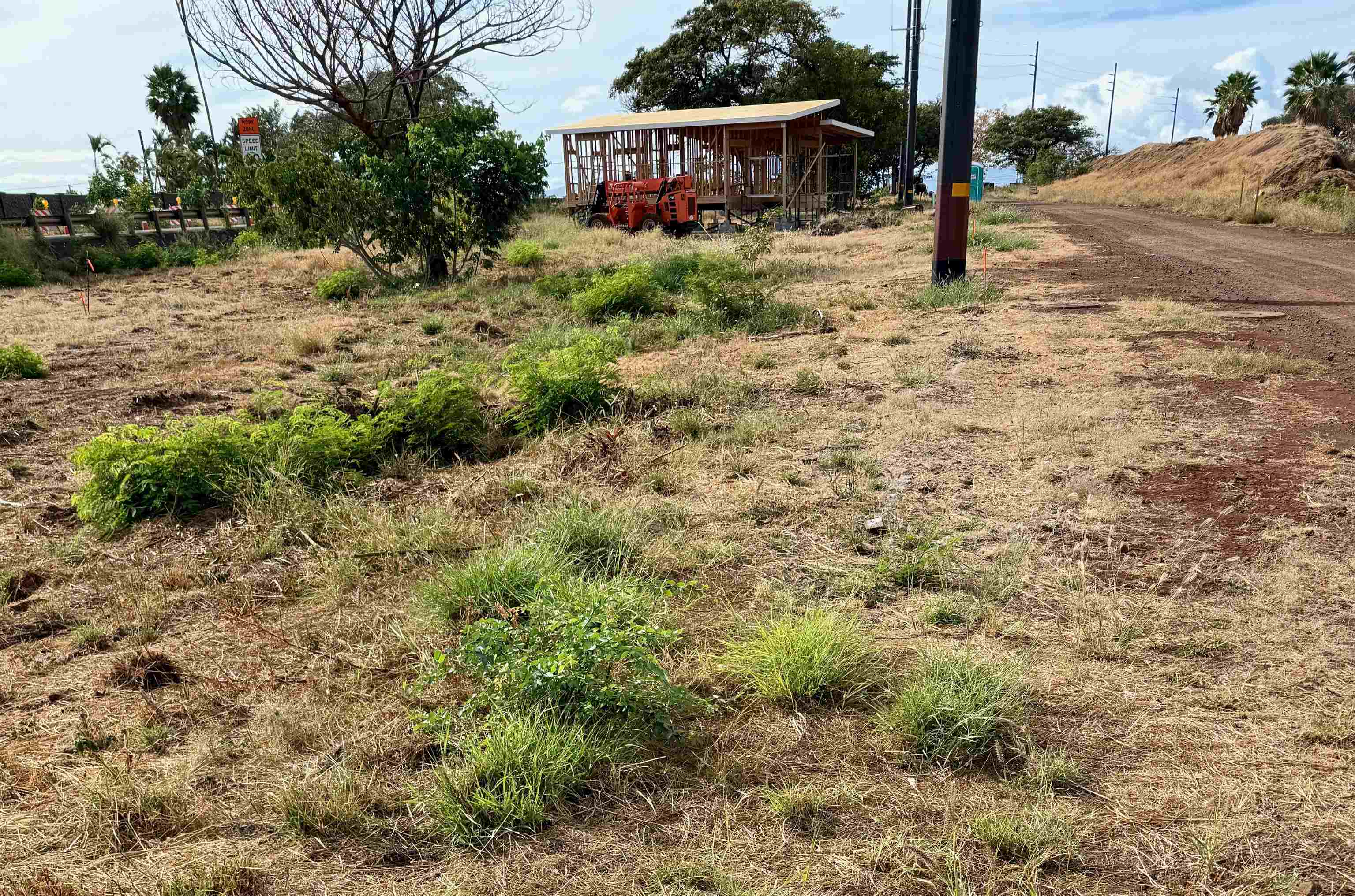 a view of a dry yard with wooden fence
