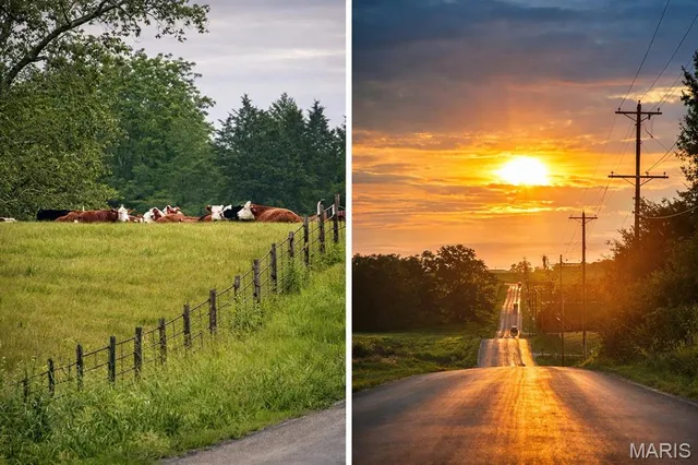 $398,975 | 1235 Castle Green Drive, Waterloo, IL 62298