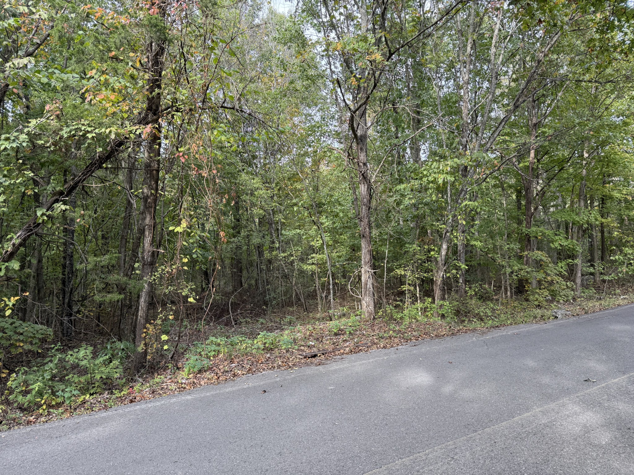 0 Millersburg Road Bell Buckle, TN 37020 - Photo 1 of 2 Gallery Image 1